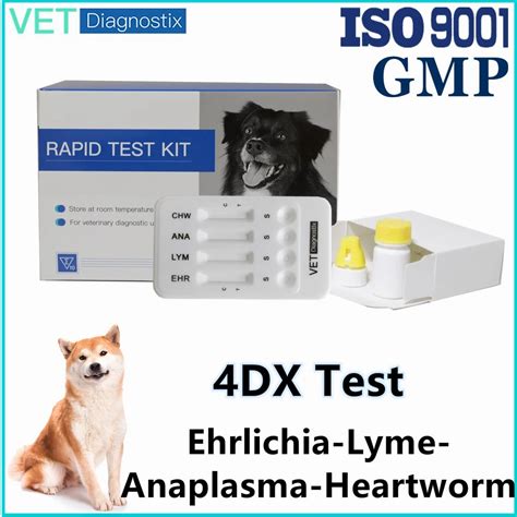 4dx heartworm test|4dx heartworm lyme ehrlichia.